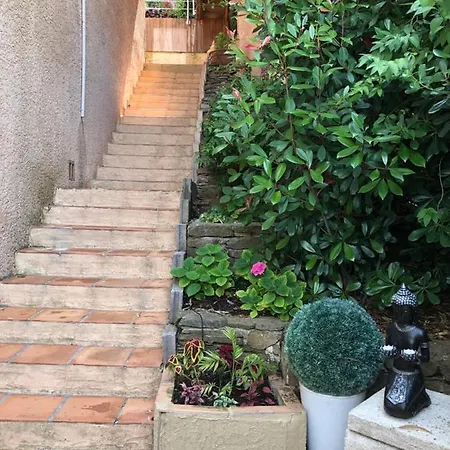 Zen Sur La Colline Aux Mimosas Lägenhet Hyères