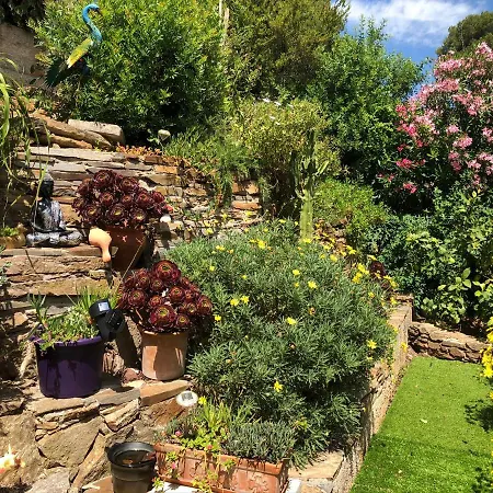 Zen Sur La Colline Aux Mimosas Lägenhet