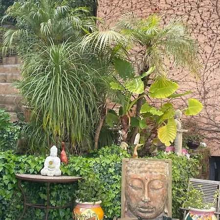 Zen Sur La Colline Aux Mimosas *