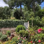 Zen Sur La Colline Aux Mimosas Apartamento