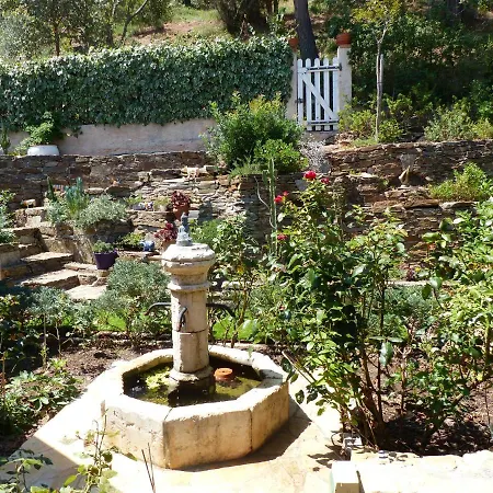 Zen Sur La Colline Aux Mimosas アパート