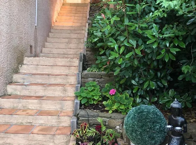 Zen Sur La Colline Aux Mimosas Appartamento Hyères