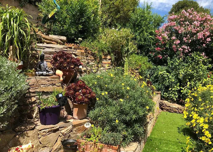 Zen Sur La Colline Aux Mimosas Appartamento