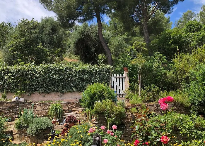 Appartamento Zen Sur La Colline Aux Mimosas Hyères