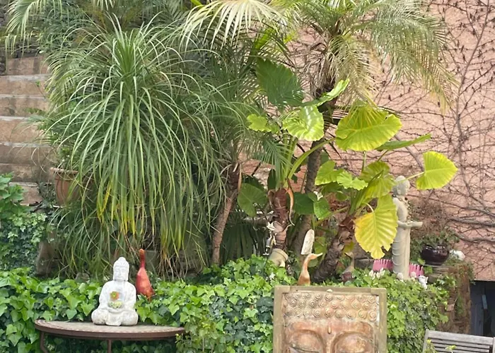 Zen Sur La Colline Aux Mimosas *