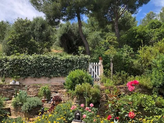 Zen Sur La Colline Aux Mimosas Апартаменти